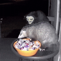Scared Trick Or Treat GIF by Respective