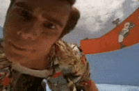 share create search discover ace GIF