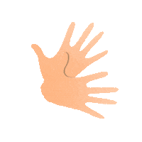 Inclusion Senas Sticker by otec inclusión