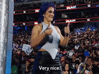 Wwe Role Model GIF