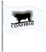 Nelore Sticker by confiboioficial