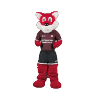 Celebrate Euro 2024 Sticker by UBS Schweiz