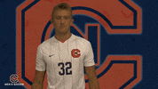 Cnms21 GIF by Carson-Newman Athletics