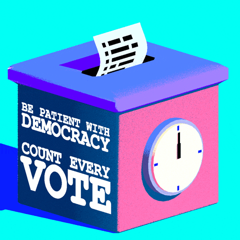 Right To Vote 2020 Election GIF by INTO ACTION