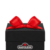 Christmas Celebration Sticker by Napoleon Products