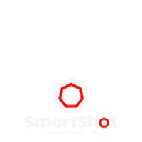 WoodyFilms film smart shot films Sticker