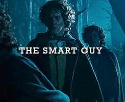 lotr GIF