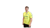 Celebration Handball Sticker by HC Gelpe/Strombach