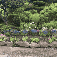 josephfontinha charlie chaplin limelight joseph fontinha blue tarp project GIF