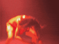 College Basketball Ncaa GIF by Utah Women's Basketball