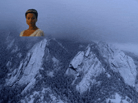 You Can Wow GIF by FranchiseONE.de