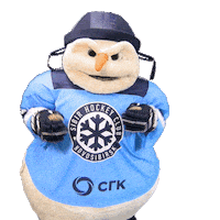 hockey snowman Sticker by HCsibir