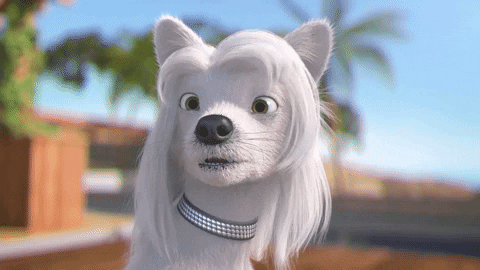 Dog Omg GIF by MightyMike