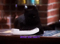 GIF by dot_pieces