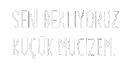 Pregnancy Hamilelik Sticker