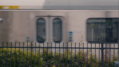 Romantic Comedy Love GIF by Will Linley
