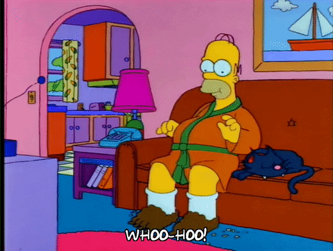 homer simpson episode 3 GIF
