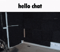 Streamer Hello GIF