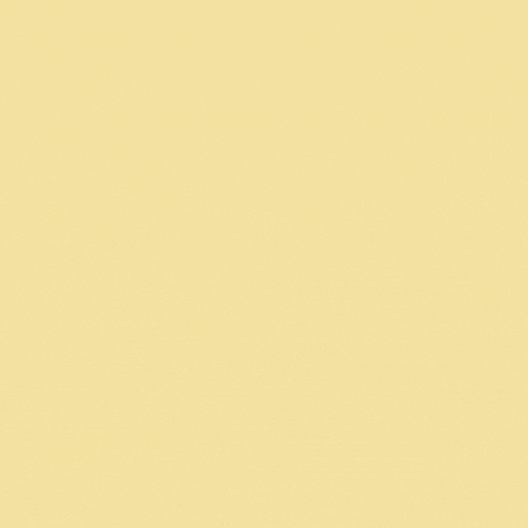 creativedotminds holiday yellow cheese cheese lovers day GIF