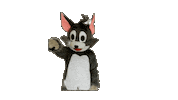 Football Tom Sticker by Kirchdorf Wildcats