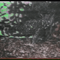 tele_visiones vaporwave videosynth GIF