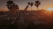 ZachBrandon music vibes california la GIF