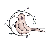 assenavGIF erdo assenav madarka Sticker