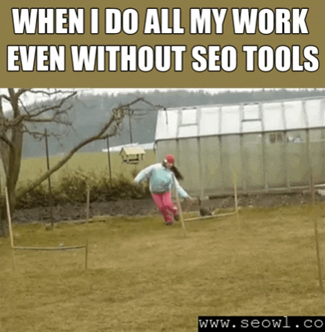 seowl_app seo seowl GIF