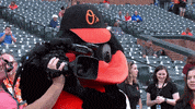 orioles camera mascot baltimore orioles GIF