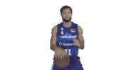 Liga Endesa Sport Sticker by ACB