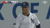 New York Yankees Smile GIF by MLB