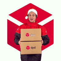 Christmas Delivery GIF by DPD France