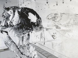 dinosaur GIF by A.M.T.G. G.G.