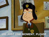 hey arnold nicksplat GIF