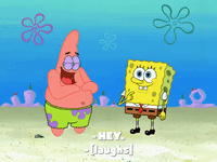 season 8 episode 20 GIF by SpongeBob SquarePants