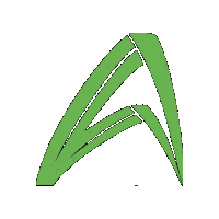 bioenergeticaaroeira aroeira bio aroeira bioenergetica aroeira logo aroeira Sticker