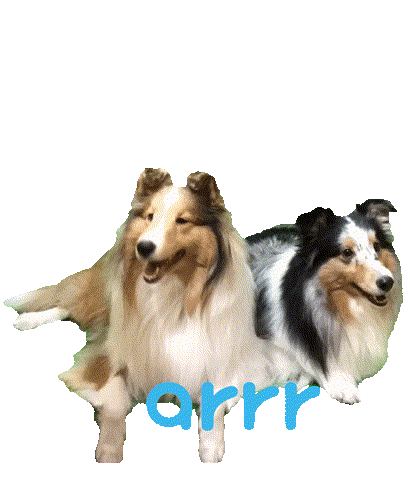 아르르 Sticker by arrr_official
