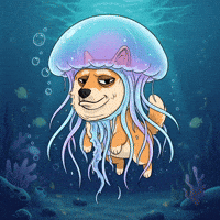 Shiba Inu Swimming GIF by Doge Pound