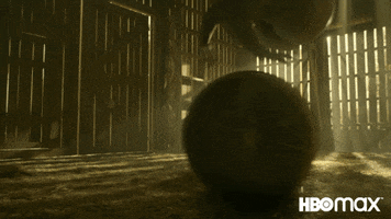 Rolling Doom Patrol GIF by Max