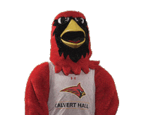 calverthallcollege point pointing cardinals hall Sticker