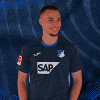 Sport Bundesliga GIF by TSG Hoffenheim