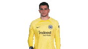 Max Frankfurt Sticker by Bundesliga