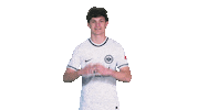 Max Frankfurt Sticker by Bundesliga
