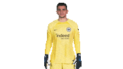 Max Frankfurt Sticker by Bundesliga