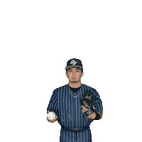 Clarke Baseball Sticker by Clarke University