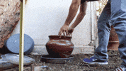 sgvmosquito animal health science virus GIF