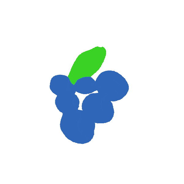 grapes dangle Sticker