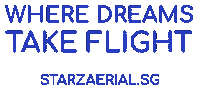 starzaerial starz circus aerial aerialist Sticker