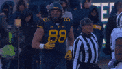 College Football GIF by WVU Sports