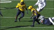 College Football GIF by WVU Sports